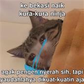 Kè