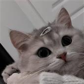 Kỳ