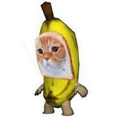 Ch
