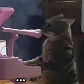Ca