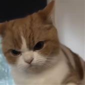 Kè