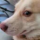 Th
