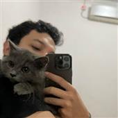 Gi