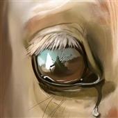 An