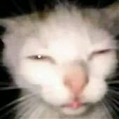 Dạ