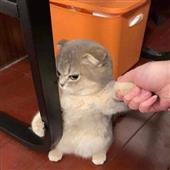 Th