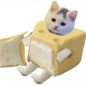 Ng