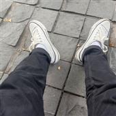 gấ