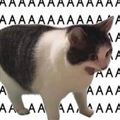 Cờ