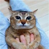 Re