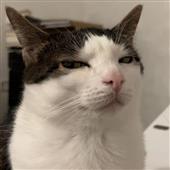 Ch