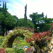 Kế