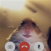 Nh