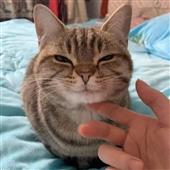 Vũ