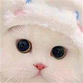 Te