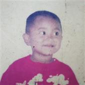 Sứ