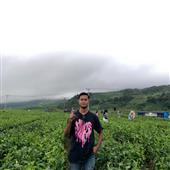 Tỷ