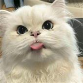 Bả
