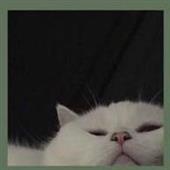 Bữ
