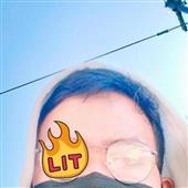 Vu