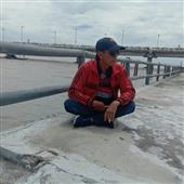 Gi