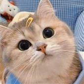 Số