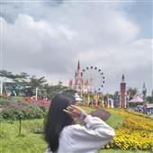 Gấ