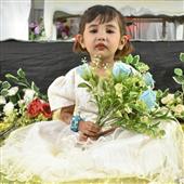 Bắ