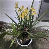 LẠ