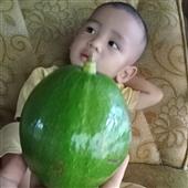 Bắ