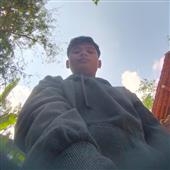 Bầ