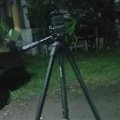 Fi