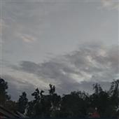 Ne