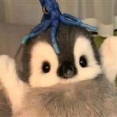 Ma