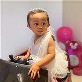 Gấ