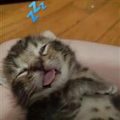 Si