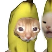 Ng
