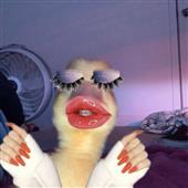 NB