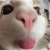 Ch