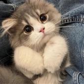 Ro
