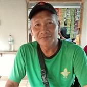 Cổ