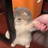 We