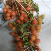 Đạ