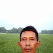 Ho