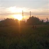 Đấ