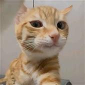 Bạ