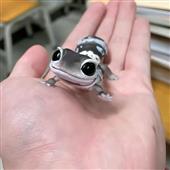 Wo