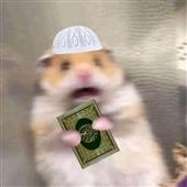 Gu