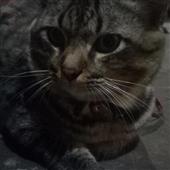 Đạ