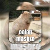 FI